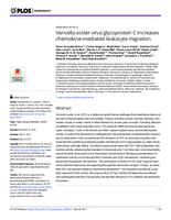 Varicella zoster virus glycoprotein C increases chemokine-mediated leukocyte migration.