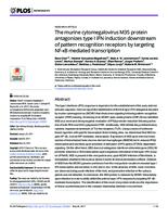 The murine cytomegalovirus M35 protein antagonizes type I IFN induction downstream of pattern recognition receptors by targeting NF-κB mediated transcription.