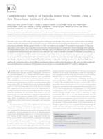 Comprehensive analysis of varicella-zoster virus proteins using a new monoclonal antibody collection.