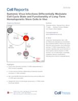 Systemic Virus Infections Differentially Modulate Cell Cycle State and Functionality of Long-Term Hematopoietic Stem Cells In Vivo