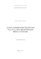 ULOGA PURINERGIČNIH RECEPTORA
 P2X3 I P2Y2 U BOLI MASETERIČNOG
 MIŠIĆA U ŠTAKORA