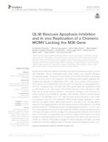 UL36 Rescues Apoptosis Inhibition
 and In vivo Replication of a Chimeric
 MCMV Lacking the M36 Gene