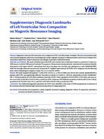 Supplementary Diagnostic Landmarks of Left Ventricular Non-Compaction on Magnetic Resonance Imaging