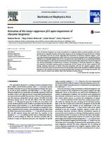 Activation of the tumor suppressor p53 upon impairment of
 ribosome biogenesis