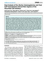 Dual Analysis of the Murine Cytomegalovirus and Host Cell Transcriptomes Reveal New Aspects of the Virus-Host Cell Interface