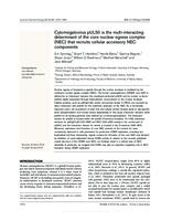 Cytomegalovirus pUL50 is the multi-interacting determinant of the core nuclear egress complex (NEC) that recruits cellular accessory NEC components