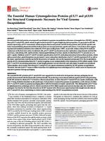 The Essential Human Cytomegalovirus Proteins pUL77 and pUL93 Are Structural Components Necessary for Viral Genome Encapsidation