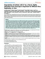 Degradation of Cellular miR-27 by a Novel, Highly Abundant Viral Transcript Is Important for Efficient Virus Replication In Vivo