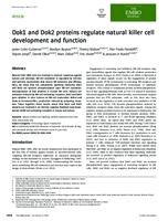 Dok1 and Dok2 proteins regulate natural killer cell development and function