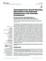 Cytomegaloviruses Exploit Recycling Rab Proteins in the Sequential Establishment of the Assembly Compartment