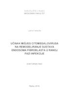 UČINAK MIŠJEG CITOMEGALOVIRUSA
 NA REMODELIRANJE SUSTAVA
 ENDOSOMA FIBROBLASTA U RANOJ
 FAZI INFEKCIJE