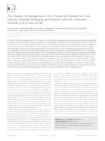 The Human Cytomegalovirus UL51 Protein Is Essential for Viral Genome Cleavage-Packaging and Interacts with the Terminase Subunits pUL56 and pUL89