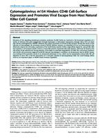 Cytomegalovirus m154 Hinders CD48 Cell-Surface Expression and Promotes Viral Escape from Host Natural Killer Cell Control