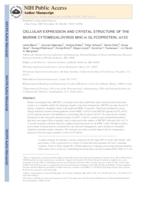 Cellular Expression and Crystal Structure of the Murine Cytomegalovirus Major Histocompatibility Complex Class I-like Glycoprotein, m153