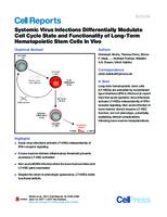 Systemic Virus Infections Differentially Modulate Cell Cycle State and Functionality of Long-Term Hematopoietic Stem Cells In Vivo