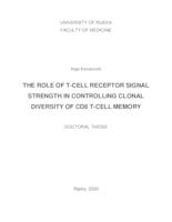 THE ROLE OF T-CELL RECEPTOR SIGNAL STRENGTH IN CONTROLLING CLONAL DIVERSITY OF CD8 T-CELL MEMORY
