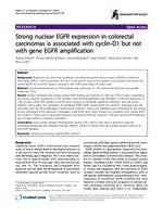 Strong nuclear EGFR expression in colorectal carcinomas is associated with cyclin-D1 but not with gene EGFR amplification