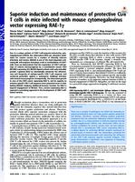 Superior induction and maintenance of protective CD8 T cells in mice infected with mouse cytomegalovirus vector expressing RAE-1 