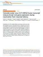 Varicella-zoster virus VLT-ORF63 fusion transcript induces broad viral gene expression during reactivation from neuronal latency