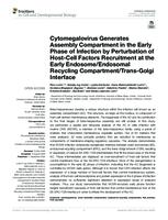 Cytomegalovirus Generates Assembly Compartment in the Early Phase of Infection by Perturbation of Host-Cell Factors Recruitment at the Early Endosome/Endosomal Recycling Compartment/Trans-Golgi Interface