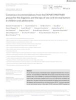 Consensus recommendations from the EXPeRT/PARTNER groups for the diagnosis and therapy of sex cord stromal tumors in children and adolescents