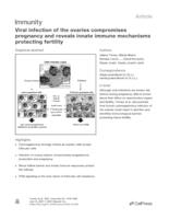 Viral infection of the ovaries compromises pregnancy and reveals innate immune mechanisms protecting fertility