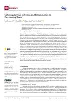 Cytomegalovirus Infection and Inflammation in Developing Brain