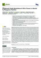 Biophenolic Profile Modulations in Olive Tissues as Affected by Manganese Nutrition