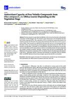 Antioxidant Capacity of Free Volatile Compounds from Olea europaea L. cv. Oblica Leaves Depending on the Vegetation Stage