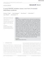 A novel FAM20C mutation causes a rare form of neonatal lethal Raine syndrome