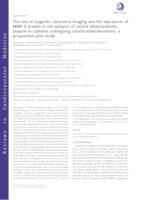 The role of magnetic resonance imaging and the expression of MMP-9 protein in the analysis of carotid atherosclerotic plaques in patients undergoing carotid endarterectomy: a prospective pilot study