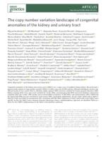 The copy number variation landscape of congenital 
anomalies of the kidney and urinary tract