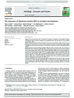 The expression of ribonuclear protein IMP3 in 
laryngeal carcinogenesis