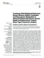 Treatment With Medicinal Mushroom Extract Mixture Inhibits Translation and Reprograms Metabolism in Advanced Colorectal Cancer Animal Model as Evidenced by Tandem Mass Tags Proteomics Analysis