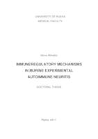 IMMUNEREGULATORY MECHANISMS 
 IN MURINE EXPERIMENTAL 
 AUTOIMMUNE NEURITIS