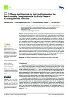 Arf GTPases Are Required for the Establishment of the Pre-Assembly Compartment in the Early Phase of Cytomegalovirus Infection