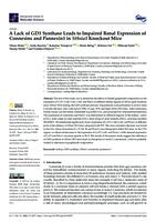 A Lack of GD3 Synthase Leads to Impaired Renal Expression of
Connexins and Pannexin1 in St8sia1 Knockout Mice