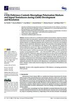 CD26 Deficiency Controls Macrophage Polarization Markers and Signal Transducers during Colitis Development and Resolution