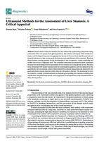 Ultrasound Methods for the Assessment of Liver Steatosis: A Critical Appraisal