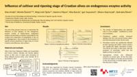 Influence of cultivar and ripening stage of Croatian olives on endogenous enzyme activity