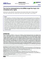 Two murine cytomegalovirus microRNAs target the major viral immediate early 3 gene