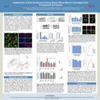 Suppression of Early Endosomal Sorting Nexins Affects Murine Cytomegalovirus  Envelopment and Egress