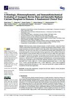 A Histologic, Histomorphometric, and Immunohistochemical Evaluation of Anorganic Bovine Bone and Injectable Biphasic Calcium Phosphate in Humans: A Randomized Clinical Trial