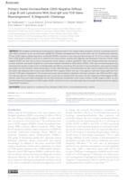                     Primary Nodal Unclassifiable CD20 Negative Diffuse Large B-cell Lymphoma With Dual
                    IgK
                    and
                    TCR
                    Gene Rearrangement: A Diagnostic Challenge
            