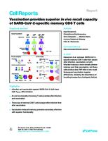 Vaccination provides superior in vivo recall capacity of SARS-CoV-2 specific memory CD8 T cells on April 02, 2023.