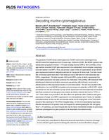 Decoding murine cytomegalovirus