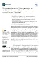 Sucralose Targets the Insulin Signaling Pathway in the SH-SY5Y Neuroblastoma Cell Line