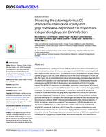 Dissecting the cytomegalovirus CC chemokine: Chemokine activity and gHgLchemokine-dependent cell tropism are independent players in CMV infection