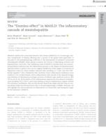 The “Domino effect” in MASLD: The inflammatory cascade of steatohepatitis