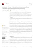 Combinatory Effect of Nitroxoline and Gentamicin in the Control of Uropathogenic Enterococci Infections